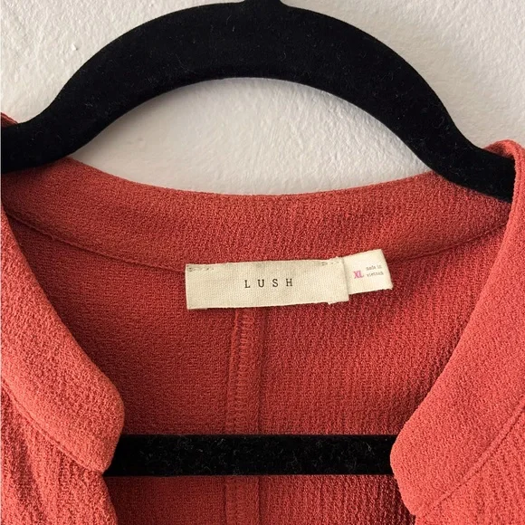 Lush Terracotta Dress - Picture 1 of 3